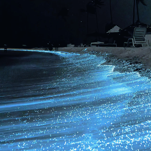 丰满少妇人妻无码专区
